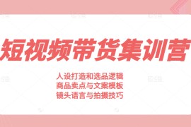 素人短视频带货集训营，人设打造和选品逻辑，商品卖点与文案模板，镜头语言与拍摄技巧
