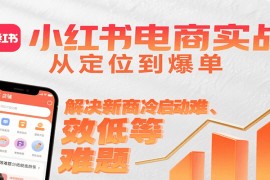 小红书电商实战，从定位到爆单解决新商冷启动难、变现效率低等难题