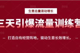 三天引爆流量训练营，打造自有经营阵地，驱动生意长效增长
