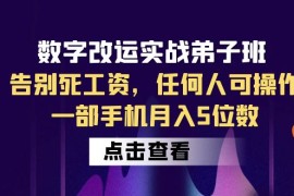 数字改运实战弟子班：告别死工资，任何人可操作，一部手机月入5位数