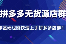 拼多多无货源店群，全程精细化讲解，实操教学，零基础也能快速上手拼多多店群