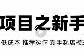 虚拟项目快速起店模式，0成本打造月入几万虚拟店铺