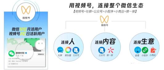 从0到1带你玩赚视频号