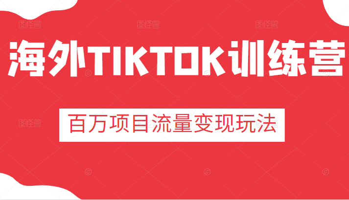 海外TIKTOK训练营 海外TIKTOK训练营