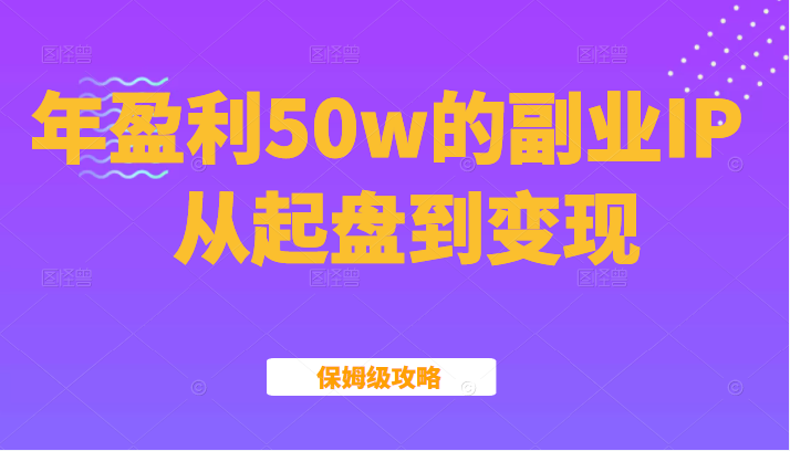 年盈利50w的副业IP