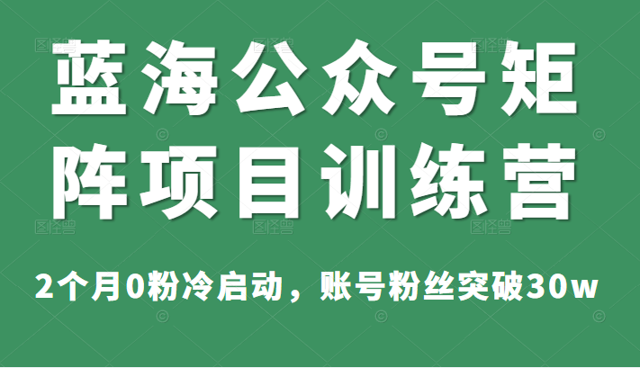 蓝海公众号矩阵项目训练营