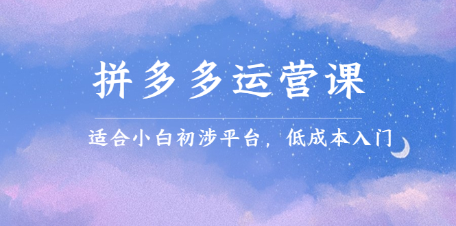 拼多多运营课 拼多多运营课