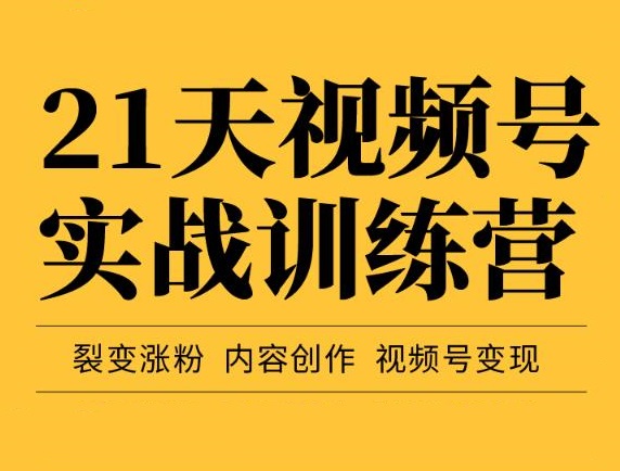 21天视频号实战训练营 21天视频号实战训练营