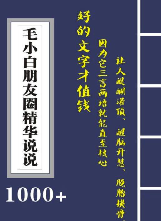 毛小白内容合集