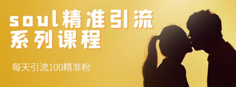  soul精准引流系列课程