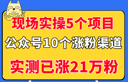现场实操5个公众号项目 现场实操5个公众号项目