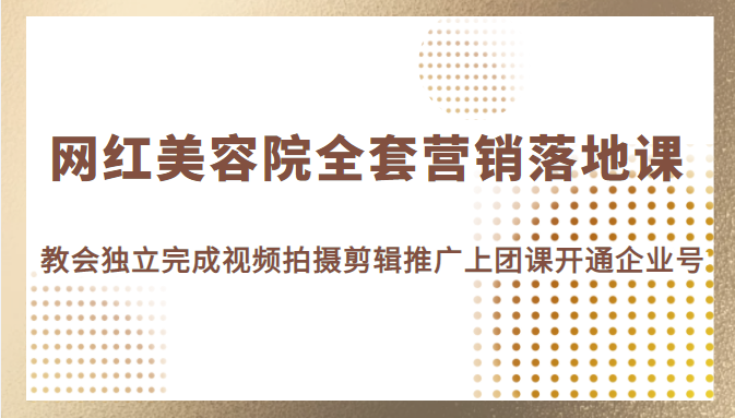 网红美容院全套营销落地课 网红美容院全套营销落地课