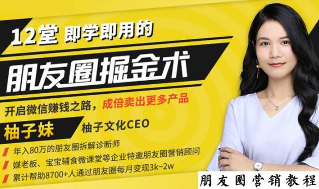 12堂学之即用的朋友圈掘金术 12堂学之即用的朋友圈掘金术