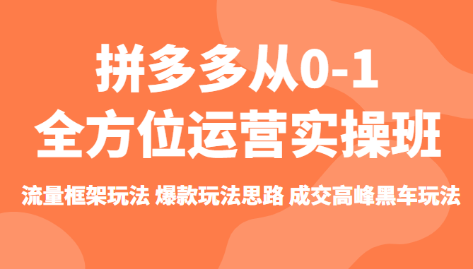 拼多多从0-1全方位运营实操班