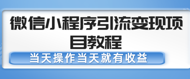 微信小程序引流变现项目教程 微信小程序引流变现项目教程