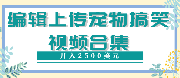 编辑上传宠物搞笑视频合集 编辑上传宠物搞笑视频合集