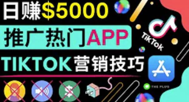 利用TIKTOK赚钱,最高日入5000美元 利用TIKTOK赚钱,最高日入5000美元