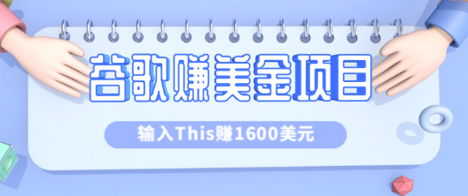 利用谷歌搜索特殊关键字赚钱项目 利用谷歌搜索特殊关键字赚钱项目