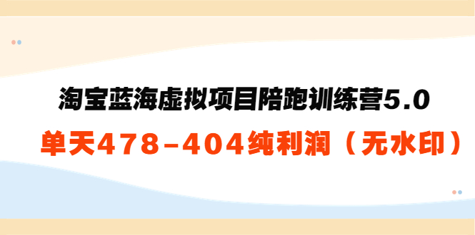 淘宝蓝海虚拟项目陪跑训练营 淘宝蓝海虚拟项目陪跑训练营