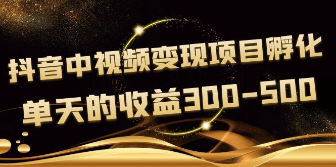 抖音中视频变现项目孵化 抖音中视频变现项目孵化