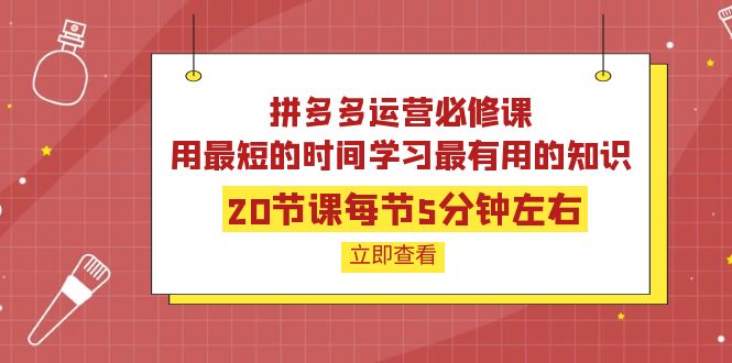 拼多多运营必修课 拼多多运营必修课