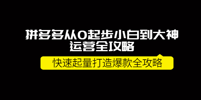拼多多从0起步小白到大神运营全攻略 拼多多从0起步小白到大神运营全攻略