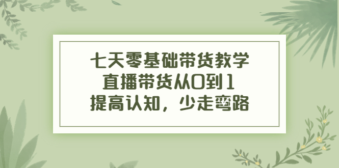 七天零基础带货教学 七天零基础带货教学