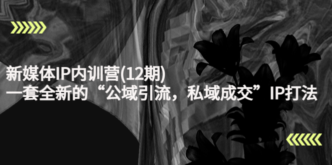 新媒体IP内训营(12期) 新媒体IP内训营(12期)