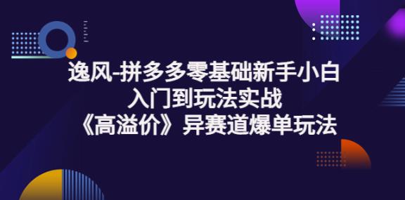 拼多多零基础新手小白入门到玩法实战 拼多多零基础新手小白入门到玩法实战