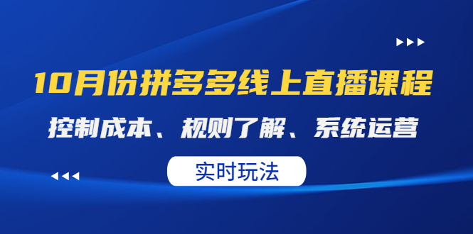 拼多多实战运营课 拼多多实战运营课