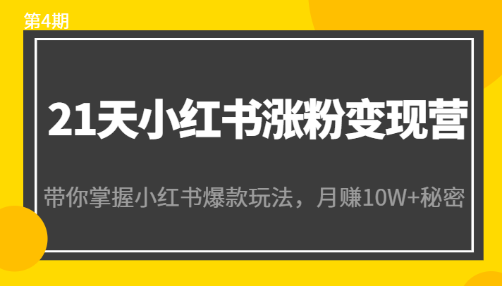 21天小红书涨粉变现营 21天小红书涨粉变现营