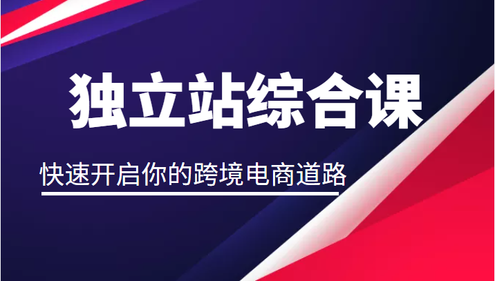 独立站综合课 独立站综合课