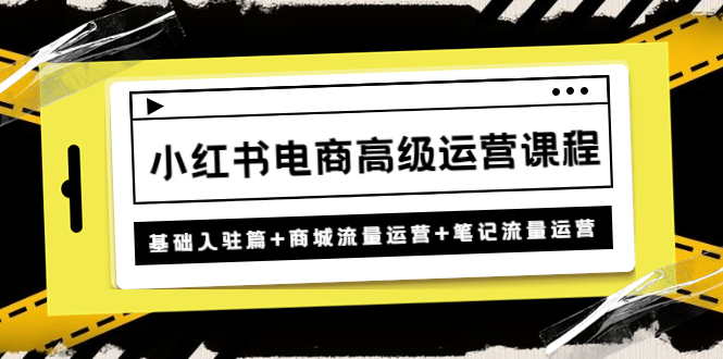 小红书电商高级运营课程 小红书电商高级运营课程