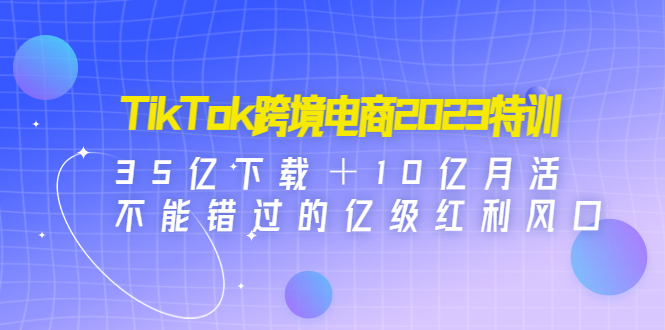 TikTok跨境电商 TikTok跨境电商