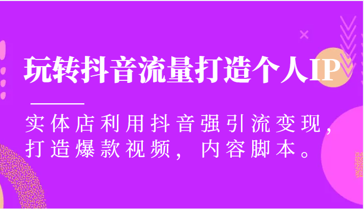 玩转抖音流量打造个人IP