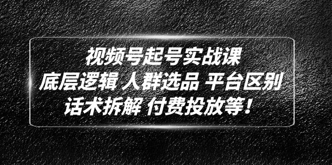 视频号起号实战课:底层逻辑 人群选品 平台区别 话术拆解 付费投放等 视频号起号实战课:底层逻辑 人群选品 平台区别 话术拆解 付费投放等