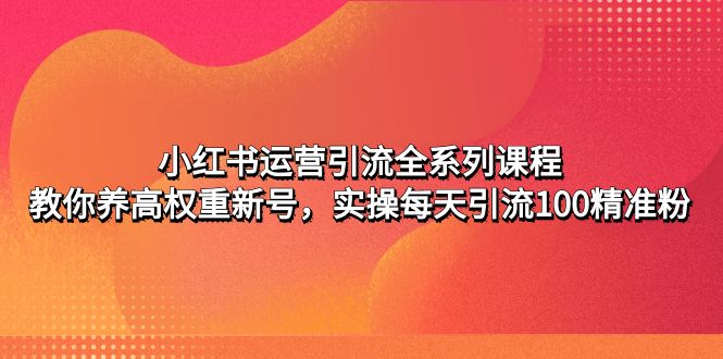 小红书运营引流全系列课程 小红书运营引流全系列课程