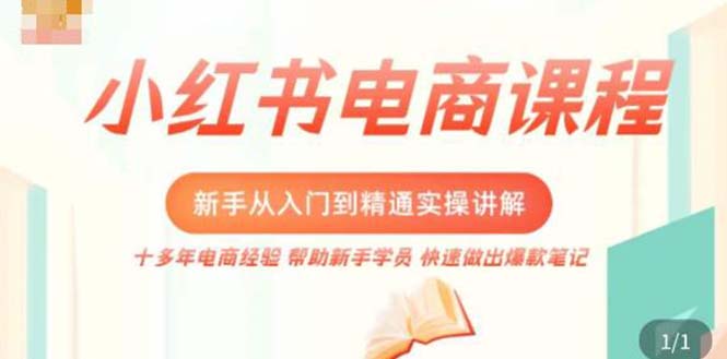 小红书电商新手入门到精通实操课,从入门到精通做爆款笔记,开店运营 小红书电商新手入门到精通实操课,从入门到精通做爆款笔记,开店运营
