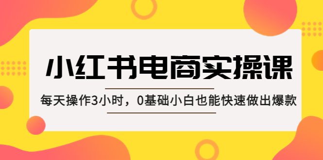 小红书·电商实操课:每天操作3小时,0基础小白也能快速做出爆款 小红书·电商实操课:每天操作3小时,0基础小白也能快速做出爆款