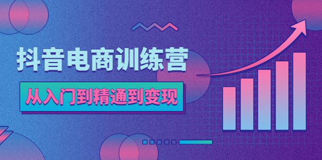 抖音电商训练营:从入门到精通,从账号定位到流量变现,抖店运营实操 抖音电商训练营:从入门到精通,从账号定位到流量变现,抖店运营实操