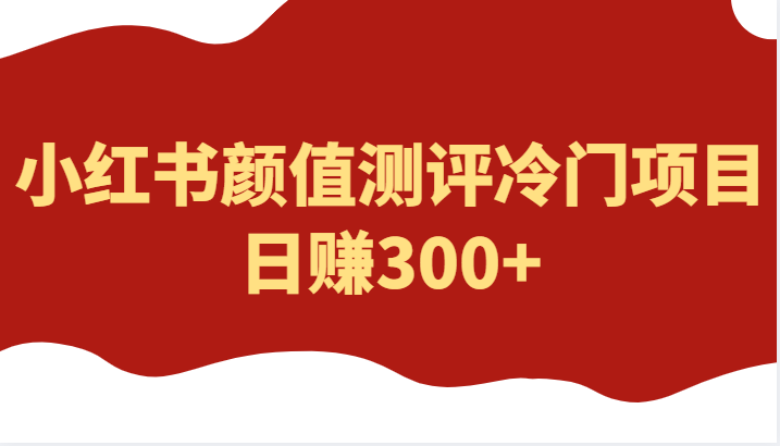 外面4980的项目,小红书颜值测评冷门项目,日赚300+ 外面4980的项目,小红书颜值测评冷门项目,日赚300+