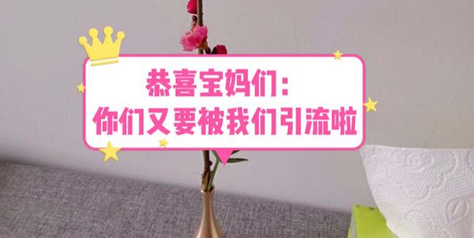 恭喜宝妈们:你们又要被我们引流了(教程+222g资料) 恭喜宝妈们:你们又要被我们引流了(教程+222g资料)