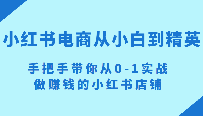 小红书电商项目:从小白到精英 手把手带你从0-1实战做赚钱的小红书店铺 小红书电商项目:从小白到精英 手把手带你从0-1实战做赚钱的小红书店铺