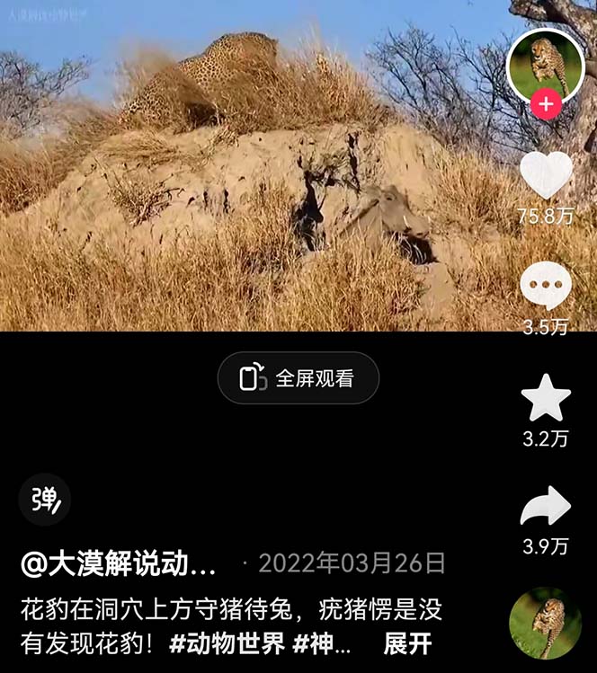 外面卖1699的国外纪录片解说(动物解说、美食、动画片)稳过中视频 外面卖1699的国外纪录片解说(动物解说、美食、动画片)稳过中视频