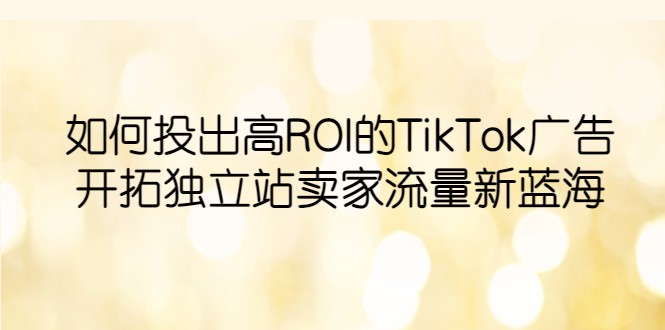 如何投出高ROI·TikTok广告,开拓独立站卖家流量新蓝海 如何投出高ROI·TikTok广告,开拓独立站卖家流量新蓝海