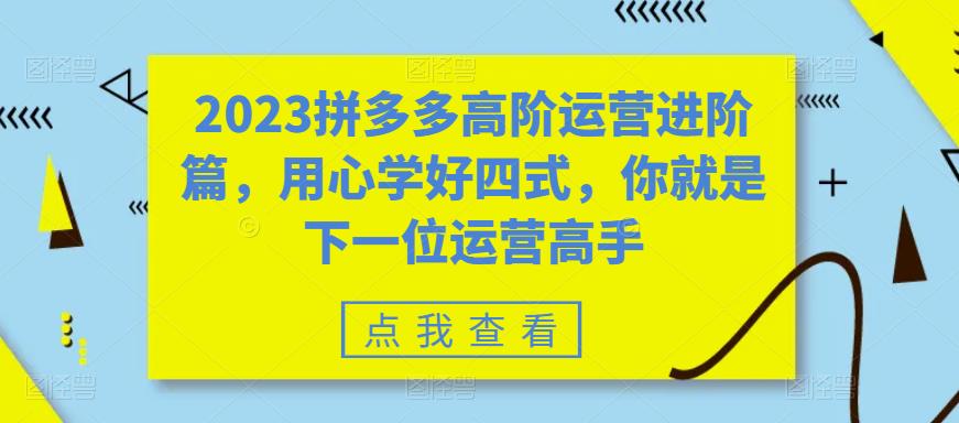 2023拼多多高阶运营进阶篇,用心学好四式,你就是下一位运营高手 2023拼多多高阶运营进阶篇,用心学好四式,你就是下一位运营高手