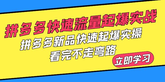 拼多多-快速流量起爆实战,拼多多新品快速起爆实操,看完不走弯路 拼多多-快速流量起爆实战,拼多多新品快速起爆实操,看完不走弯路