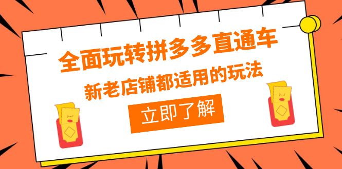 全面玩转拼多多直通车,新老店铺都适用的玩法(12节精华课) 全面玩转拼多多直通车,新老店铺都适用的玩法(12节精华课)
