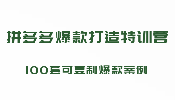 拼多多爆款打造特训营,199元*100套可复制爆款案例(持续更新中) 拼多多爆款打造特训营,199元*100套可复制爆款案例(持续更新中)