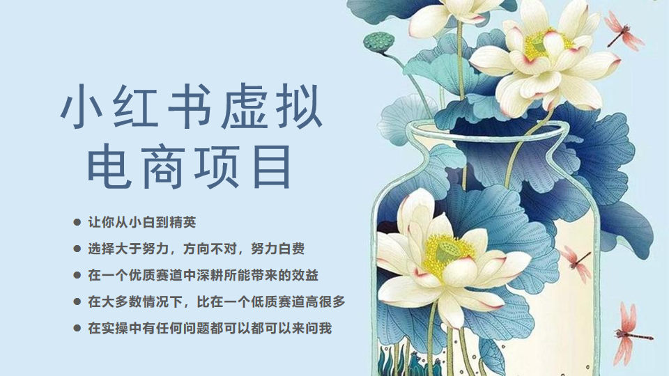 小红书虚拟电商从0到1小白到精英(20节实操课程) 小红书虚拟电商从0到1小白到精英(20节实操课程)